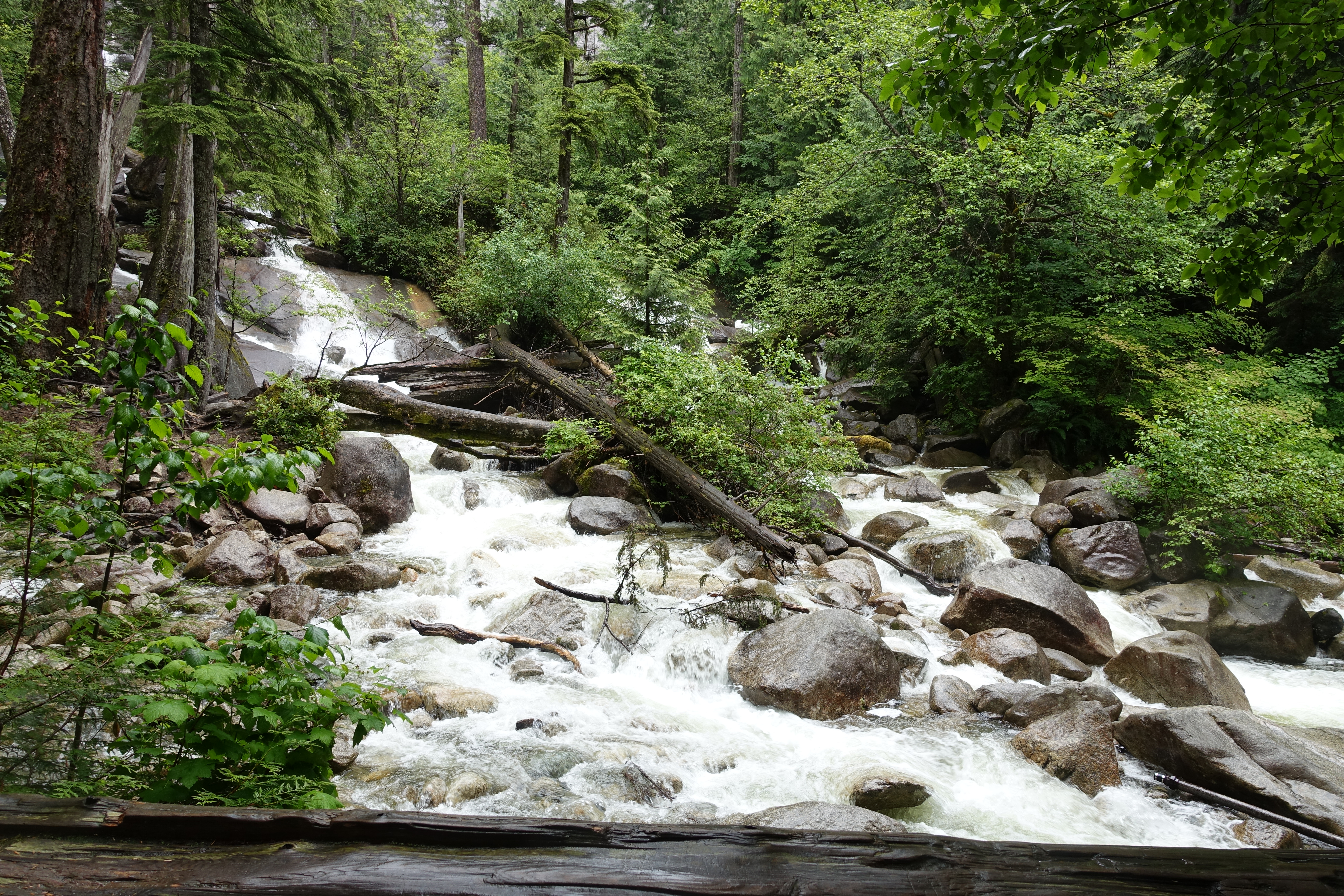 A full-size image example